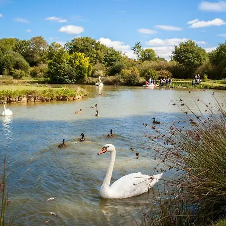 Oda ve Kahvaltı Manoir De La Foulerie