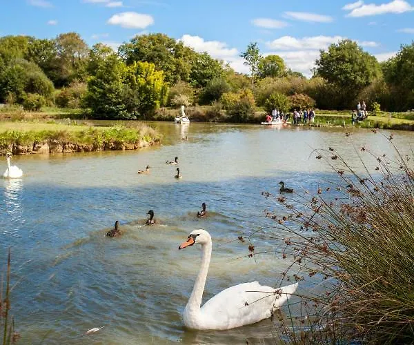 Couette-café Manoir De La Foulerie
